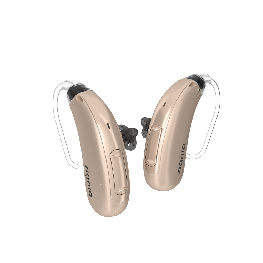 Behind-the-Ear (BTE)