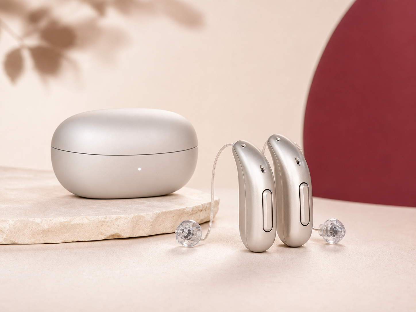 Brand-neutral rechargeable hearing aids with charging case